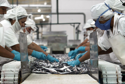 microfinanzas-sni-pesca-3-enero-2023
