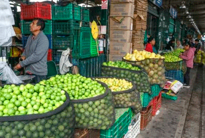 1venta-de-limon