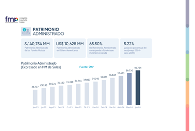 microfinanzas-patrimonio-4-julio-2024