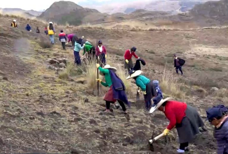 microfinanzas-siembre-un-arbol-3-noviembre-2024
