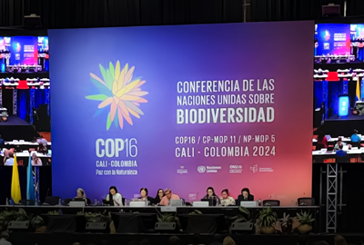 microfinanzasca-ica-foro-mundial-3-noviembre-2024